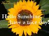 Hello Sunshine, have a nice day!